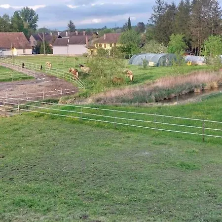Nouveau ! Gite 4 Personnes Dans Une Ferme Equestre Σπίτι διακοπών *