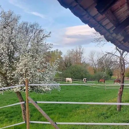 Nouveau ! Gite 4 Personnes Dans Une Ferme Equestre Diebolsheim
