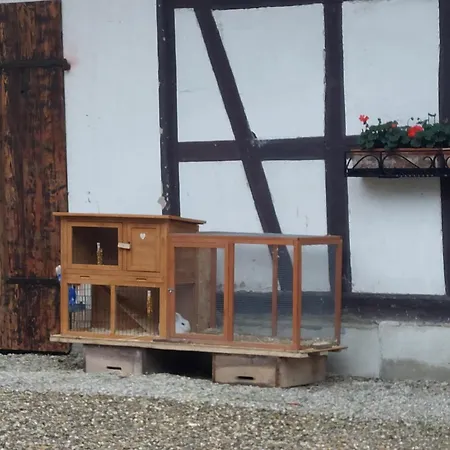 Nouveau ! Gite 4 Personnes Dans Une Ferme Equestre *